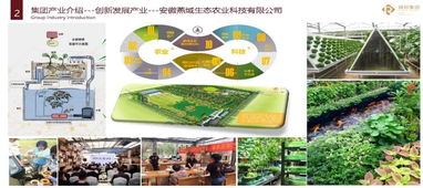 打造中国新一代优质农产品的一颗芯片 瑞邦集团市场部总监 吕国力 先生在第二届中国 古田 食用菌大会的主题演讲