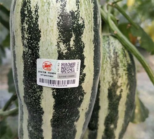 食用农产品合格证制度 嘉祥县农产品有了 身份证